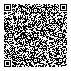 Qed Decision Consulting QR vCard