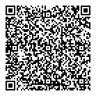 Town Taxi QR vCard