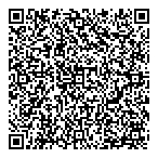 Wise Sandy Consulting QR vCard