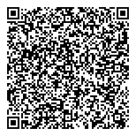 Blizzard Counier Service QR vCard