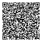 241 Pizza QR vCard