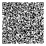 Starlight Laser Disc And Electronics QR vCard