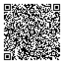 Wajahat A Khan QR vCard