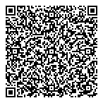 Vex Consulting Ltd. QR vCard