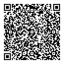 David Chan QR vCard