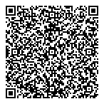 Sts Systems Limited QR vCard