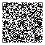 Toys Toys Toys QR vCard