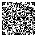 George Johnson QR vCard