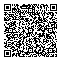 B L H Brown QR vCard