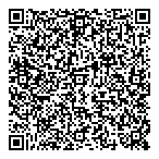 Background Players QR vCard