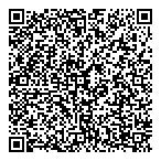 Link Auto Dealer QR vCard