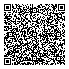 Time Auto QR vCard