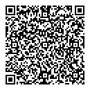 H Johnson QR vCard