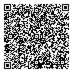 Pstg Consulting Inc  QR vCard