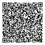 Holomax Limited QR vCard