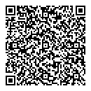 Xing Dan Liu QR vCard