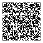 Tchequeca QR vCard