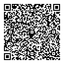 Mario Dube QR vCard