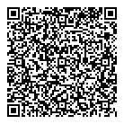 Vinci QR vCard