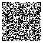 Disco Megamix QR vCard