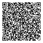 Semi Remorque Aneuf QR vCard