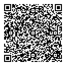 D Dion QR vCard