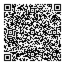 L Dion QR vCard