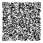 Systemes Element Inc QR vCard