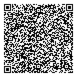 T N Consulting Limited QR vCard