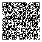 Panhandler The QR vCard