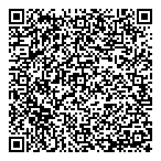 Vanmart Consultant Ltd. QR vCard