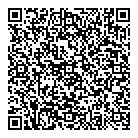 Dpl Group QR vCard