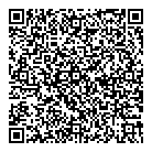 Silver Taxi QR vCard