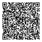 D M Paving QR vCard