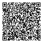 Town Taxi QR vCard