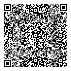 Valley Fries QR vCard