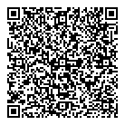 Ams Consulting QR vCard