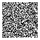 Solutions D QR vCard