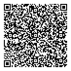 Dfp Servipro Inc QR vCard