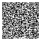 Auto Crystal QR vCard