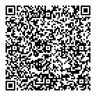 Dollarama QR vCard