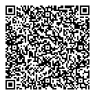 Microplay QR vCard