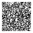 H Goldstein QR vCard