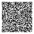 Pluritec Limitee QR vCard