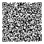 Lave Auto Express QR vCard