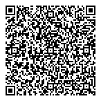 Voyages Phenicia QR vCard