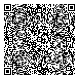 Excel Business Consultant QR vCard