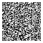 Aviation Strategies International QR vCard