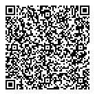 Lave Auto Ds QR vCard