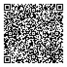 Pub Romana QR vCard